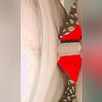 Desi Indian Wife Sex Hindi Sex Rajasthani Wife Sex Marwari Sex Indian Desi Wife Sex