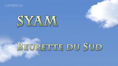 French Outdoor Gangbang