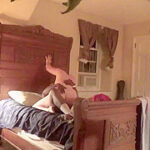 Shared wife secretely records BBC encounters for hubby