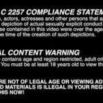 爲國争光全球探大神新作品，我嘗到了女神的甜蜜，極品禦姐黎芷媗