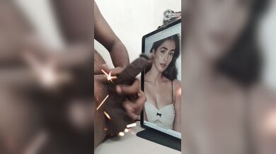 Pooja hedje cum tribute