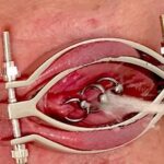 P E E Compilation Of 10 Videos By Aqua Pola Hot Milf