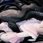 Monster Dog X Chiffon Animation