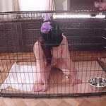 x2x137B0A57D21B17F759