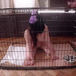 x2x137B0A57D21B17F759