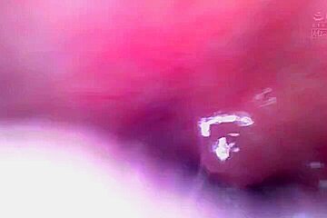 x1x884CAC2BE9FC4BC907