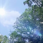 x2x06398DE0748660F632