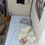 GIMCEWJLVZYHHRLETW52MEKO219