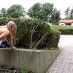 FAOOIWBNHVDGCOHAIN52SORA530