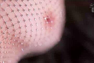 x2xE19E630E0BAB1D4443