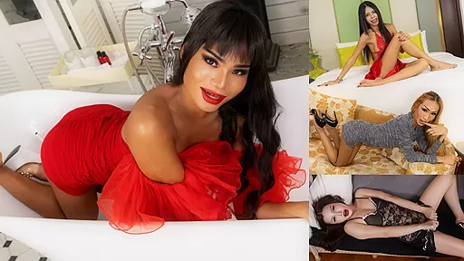 ASIANTGIRL – Compilation Updates 10th to 14th Nov 25